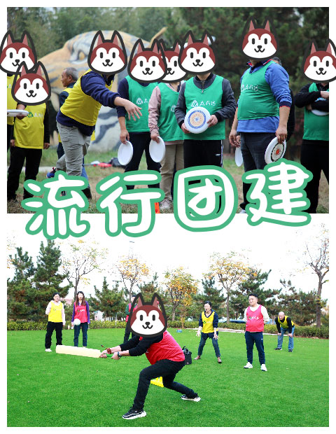 青島拓展，青島拓展訓(xùn)練，青島團建，請致電青島眾行遠(yuǎn)