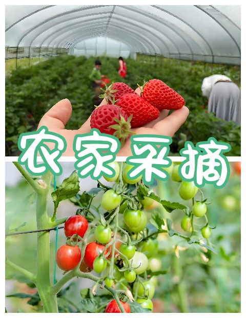 青島拓展，青島拓展訓(xùn)練，青島團建，請致電青島眾行遠(yuǎn)