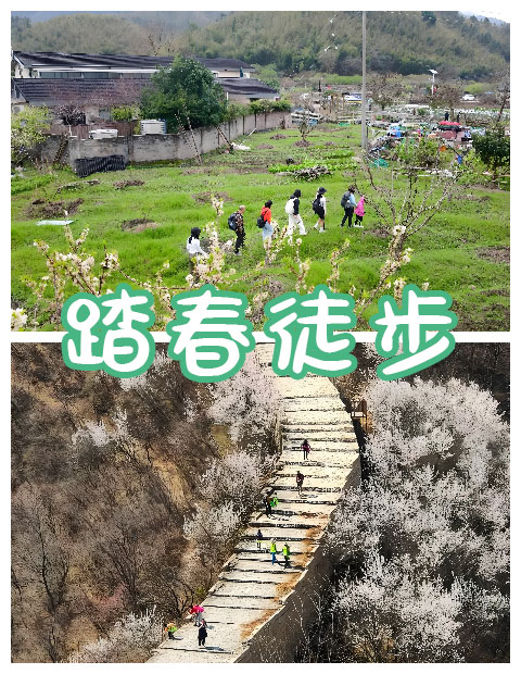 青島拓展，青島拓展訓(xùn)練，青島團建，請致電青島眾行遠(yuǎn)