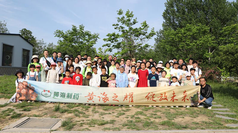 黃海之耀，華麗綻放
